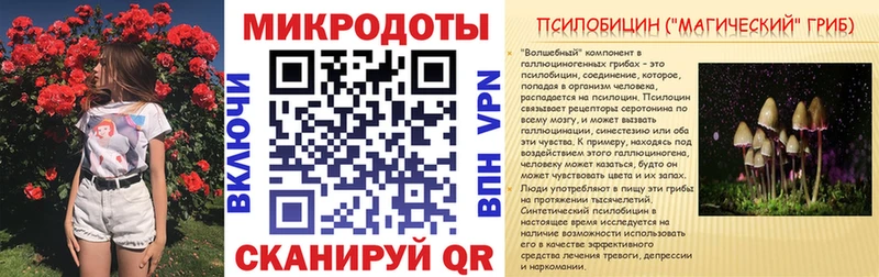 купить  цена  Нязепетровск  Псилоцибиновые грибы мицелий 